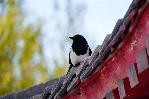 健康促進(jìn)丨霜降：承上啟下，防寒潤(rùn)燥