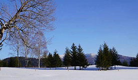 健康促進(jìn)丨小雪養(yǎng)生，藏養(yǎng)陽(yáng)氣